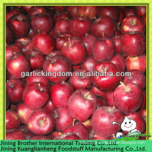 Huaniu Apfel Frucht aus Ursprung